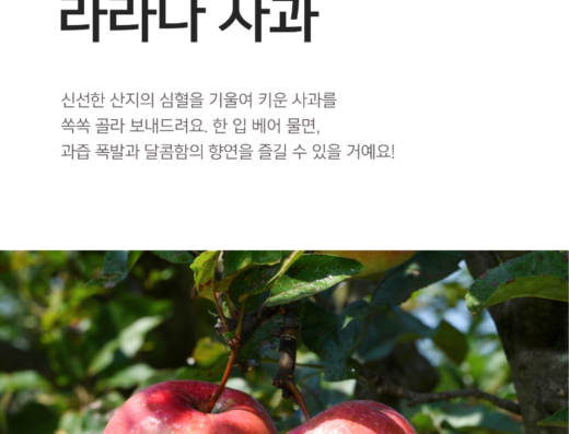 테스트 체험 – 예약 기능 확인용